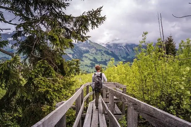 hiker