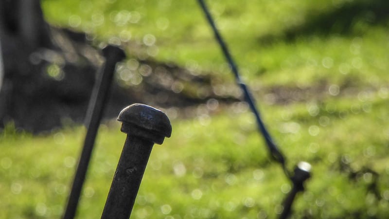 tent pegs